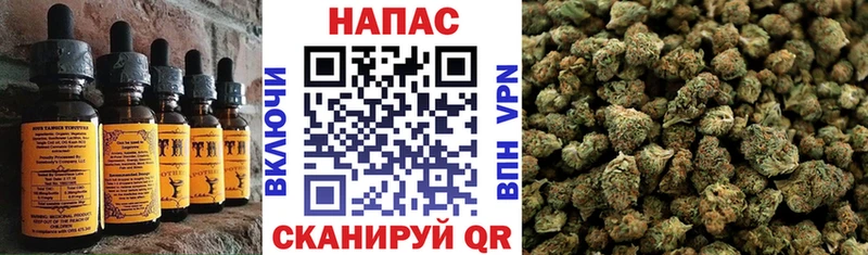 Cannafood конопля Алзамай