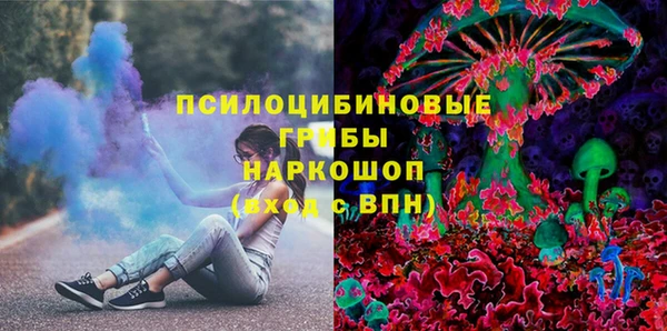 ешки Алексин