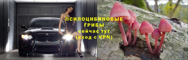 круглые Алзамай