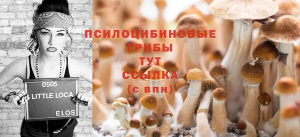 спайс Алексеевка
