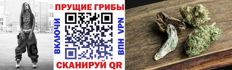 как найти закладки  blacksprut tor  Псилоцибиновые грибы прущие грибы  Алзамай 
